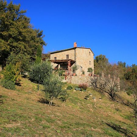 Podere Piandicava Castelnuovo di Val di Cecina Eksteriør billede