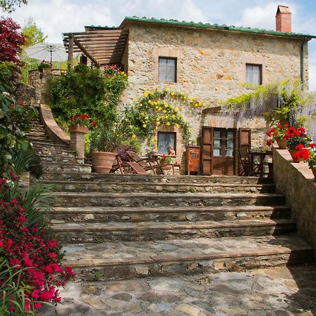 Podere Piandicava Castelnuovo di Val di Cecina Eksteriør billede