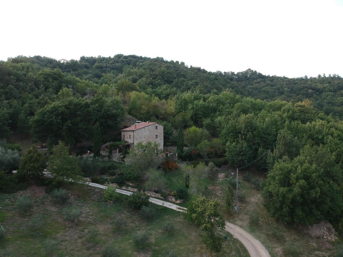 Podere Piandicava Castelnuovo di Val di Cecina Eksteriør billede