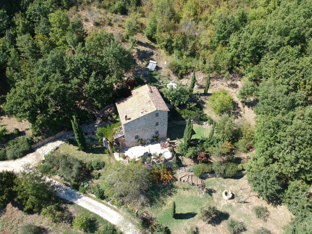 Podere Piandicava Castelnuovo di Val di Cecina Eksteriør billede