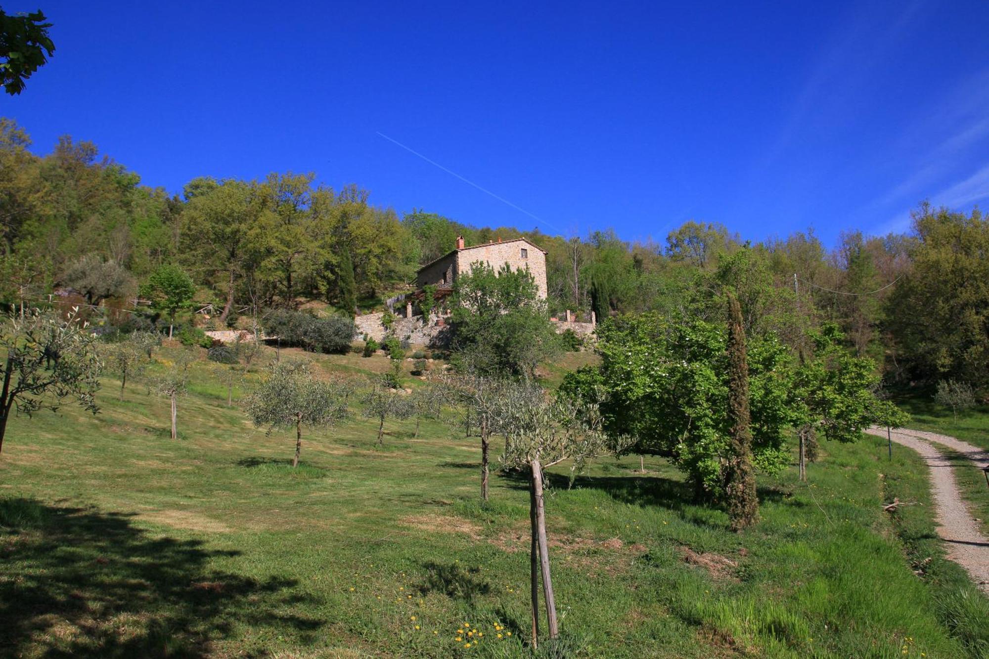 Podere Piandicava Castelnuovo di Val di Cecina Eksteriør billede