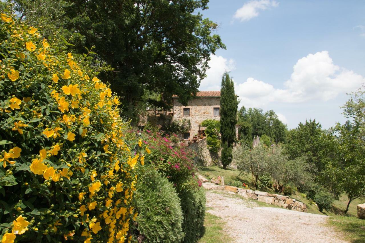 Podere Piandicava Castelnuovo di Val di Cecina Eksteriør billede